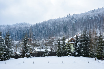 Winter landscape. Snow-covered winter town against background of mountainside with spruce forest. City in the mountains, Yaremche, Ukrainian Carpathians.