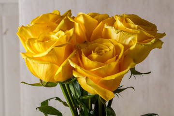 Yellow roses bouquet