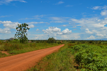 Fototapeta na wymiar Braune Sand-Straße durch die Landschaft; Uganda