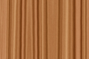 Obraz premium background with olive wood texture.