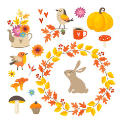 Set of cute hand-drawn autumn elements. Birds and rabbit animal. Flowers, mushrooms, pumpkin and leaves collection. Fall, thanksgiving concept. Isolated vector illustrations, objects. Flat design.