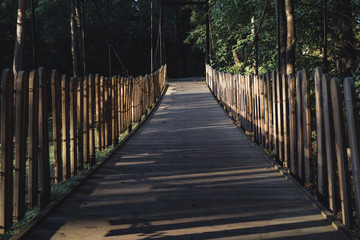 Moody Photo of the Wodden Bridge in a Park, Between Woods - Desaturated, Vintage Look