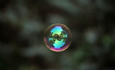 abstract background - colorful water bubble flying outside over dark green background during sunny...