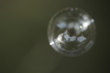abstract background - colorful water bubble flying outside over dark green background during sunny day with interesting reflection