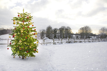Illuminated Christmas Tree in a snowy landscape
