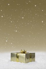 Gold Wrapped Christmas present