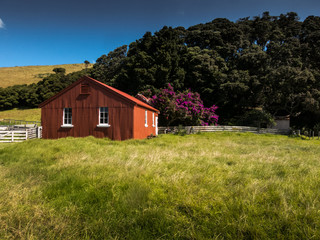 Obraz premium New Zealand Hut