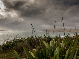 Fototapeta premium New Zealand Landscape