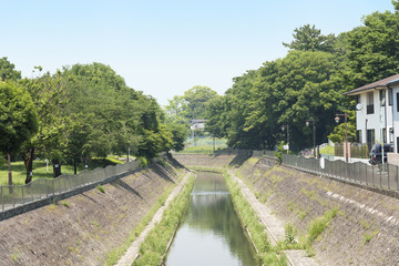 Fototapeta na wymiar 神田川の支流の善福寺川（東京都杉並区）