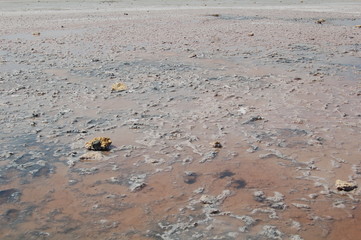 Salt lake
