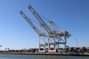 Fototapeta na wymiar Cranes at the Port