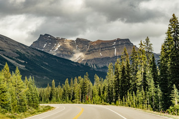 Icefields Parkway View 29