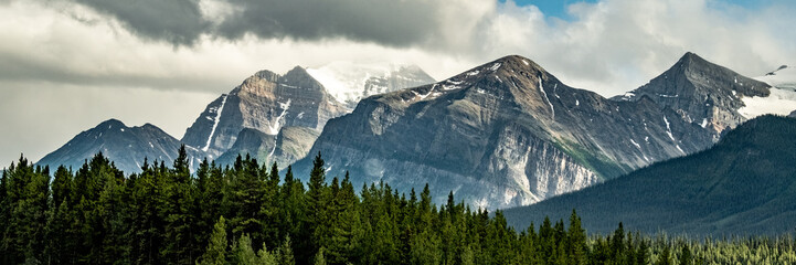 Icefields Parkway View 40
