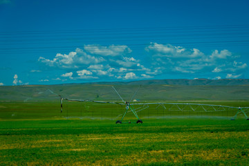 Fototapeta na wymiar Outdoor view of meadow and green grass with a water irrigation in a farm, located in Yellowstone National Park