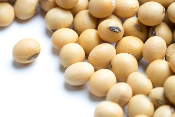 soy beans- close up on white