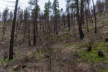 Obraz premium Indian Painted Rocks Area in Riverside State Park