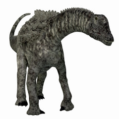 Ampelosaurus Dinosaur Front - Ampelosaurus was a herbivorous sauropod dinosaur that lived in Europe during the Cretaceous Period.