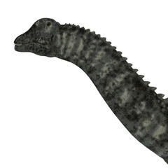 Ampelosaurus Dinosaur Head - Ampelosaurus was a herbivorous sauropod dinosaur that lived in Europe during the Cretaceous Period. © Catmando