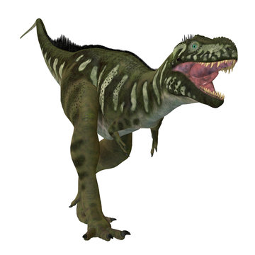 Bistahieversor Dinosaur on White - Bistahieversor was a carnivorous theropod dinosaur that lived in New Mexico, North America during the Cretaceous Period.