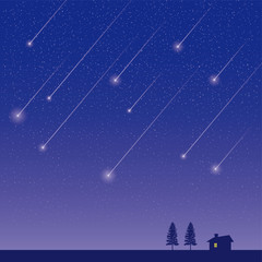 星降る夜