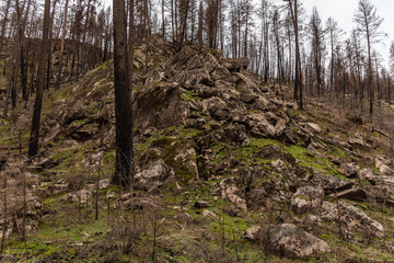 Indian Painted Rocks Area in Riverside State Park