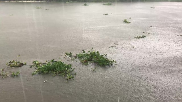 High definition video of overflowing water from a river because of heavy rain caused by monsoon rains and storm