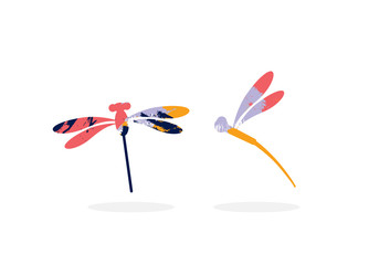 Vector illustration dragonfly