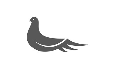 Bird vector