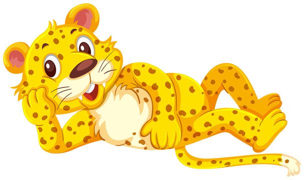 A cute leopard on white background