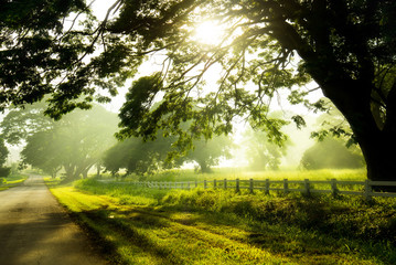 Obraz premium Sunrise Morning Light in the winter of Thailand.