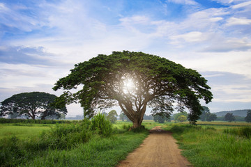 Sunrise Morning Light in the winter of Thailand.