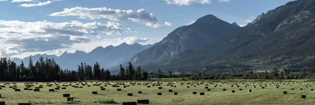 Panorama of hay field and Canadian Rockies at sunset