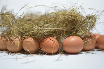 Many eggs in a haystack on awhite background