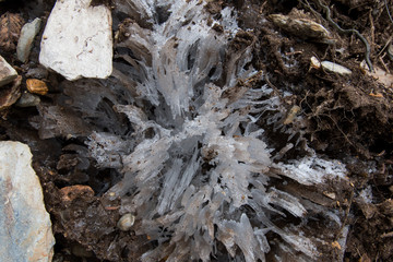 Needle Ice Close Up