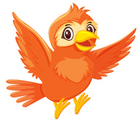 A cute orange bird on white background