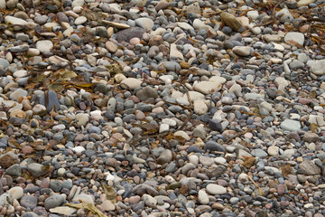 Pacific Ocean Shoreline