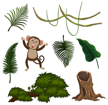 A set of leaf and monkey