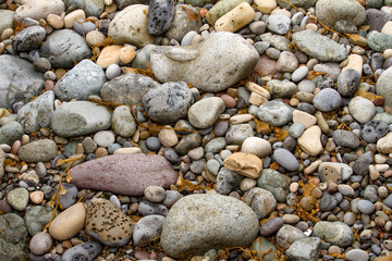Pacific Ocean Shoreline