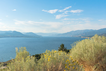 View of lake, mountains, and blue sky in summer with yellow flowers of rabbitbrush in foreground