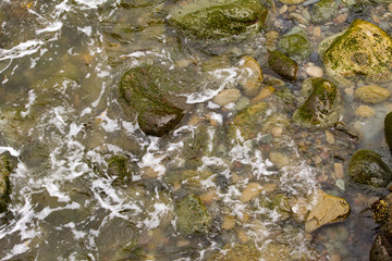 Pacific Ocean Shoreline