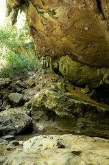 Nam Talu Cave - Khao Sok N.P.