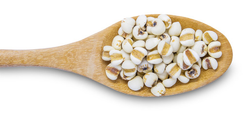 Job's tears or  Coix Lachrymal  adlay in wooden spoon is a very nutritious cereal. The seeds are rich in minerals, vitamins, dietary fiber, and essential amino acids. in clude clipping path