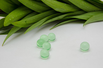 leaves from a lily, a beautiful yellow lily, a flower lies on a table, in the summer a flower...
