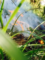 Fire on grass