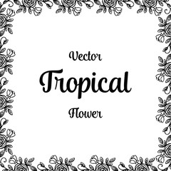 Vector tropical flower hand draw vector illustration