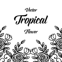 Vector tropical flower hand draw vector illustration