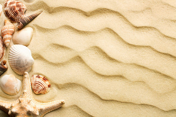 Fototapeta na wymiar top view of sand dunes with seashells as background with copy space