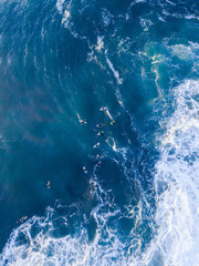 Aerial view of surfers waiting for wave.