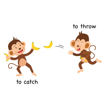 Opposite to catch and to throw vector illustration
