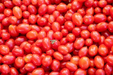 Pile of Luscious Grape Tomatoes 
